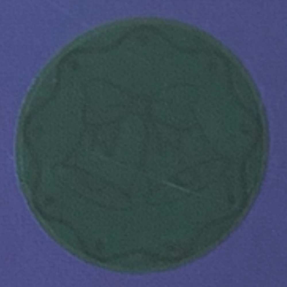BIRKMANN Wooden Cookie Stamp Set w/3 Interchangeable Silicone Christmas Designs - Picture 6 of 16